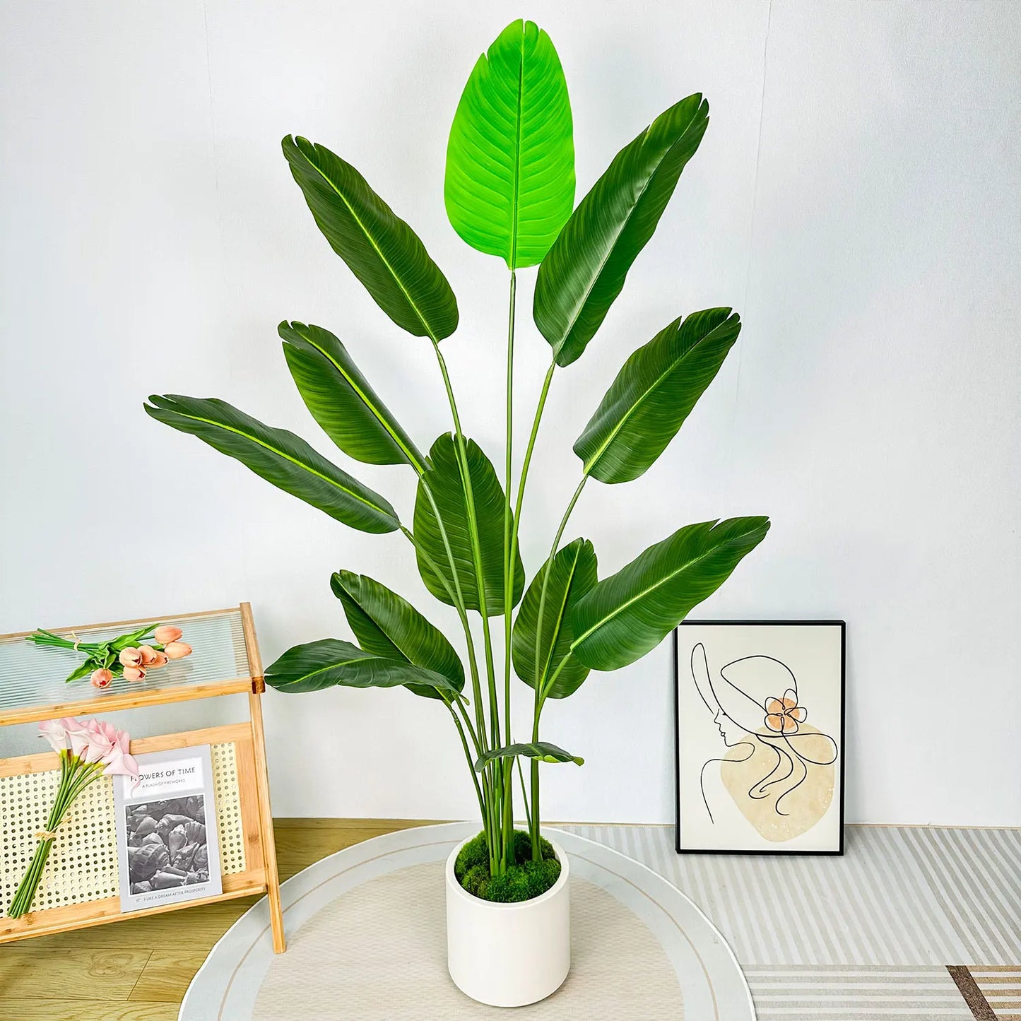 Plant Pot Home for Decoration