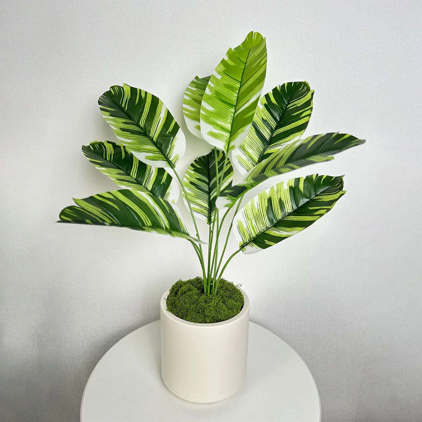 Plant Pot Home for Decoration