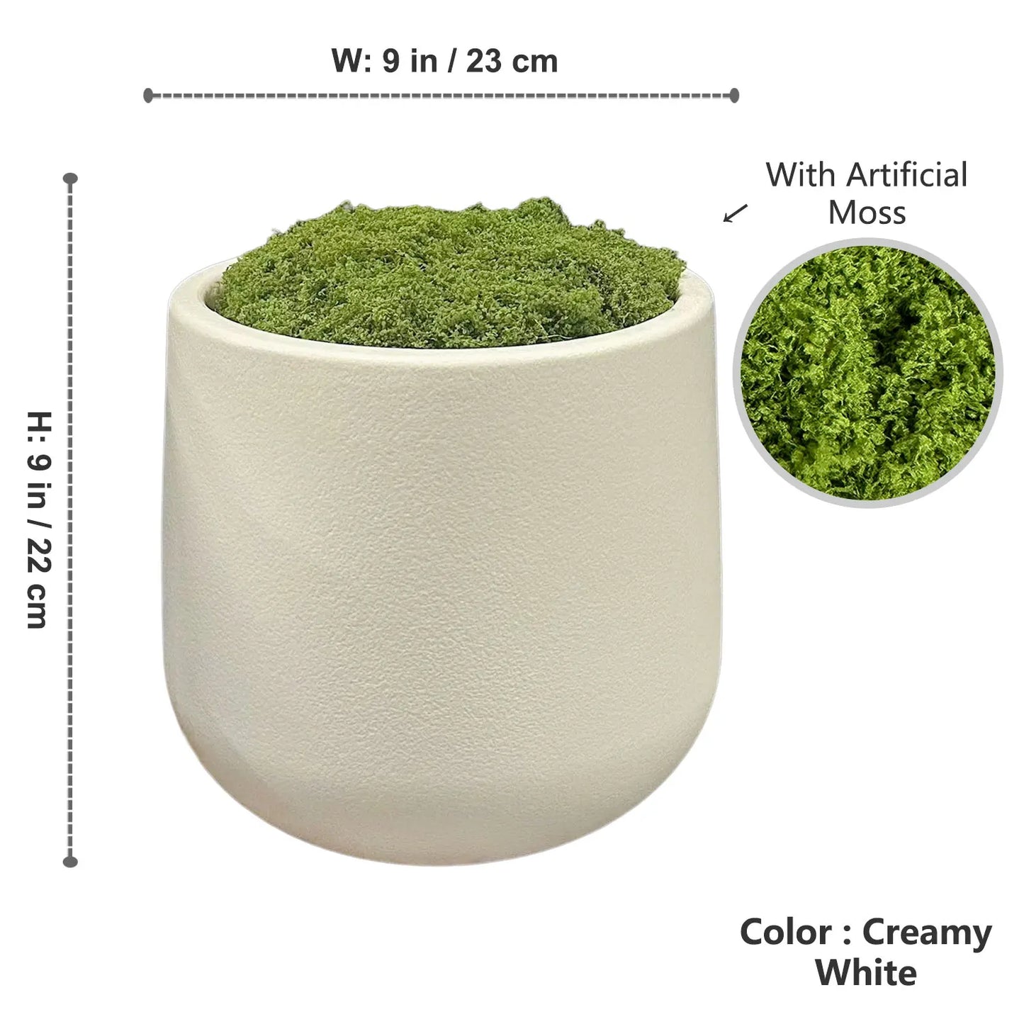 Plant Pot Home for Decoration