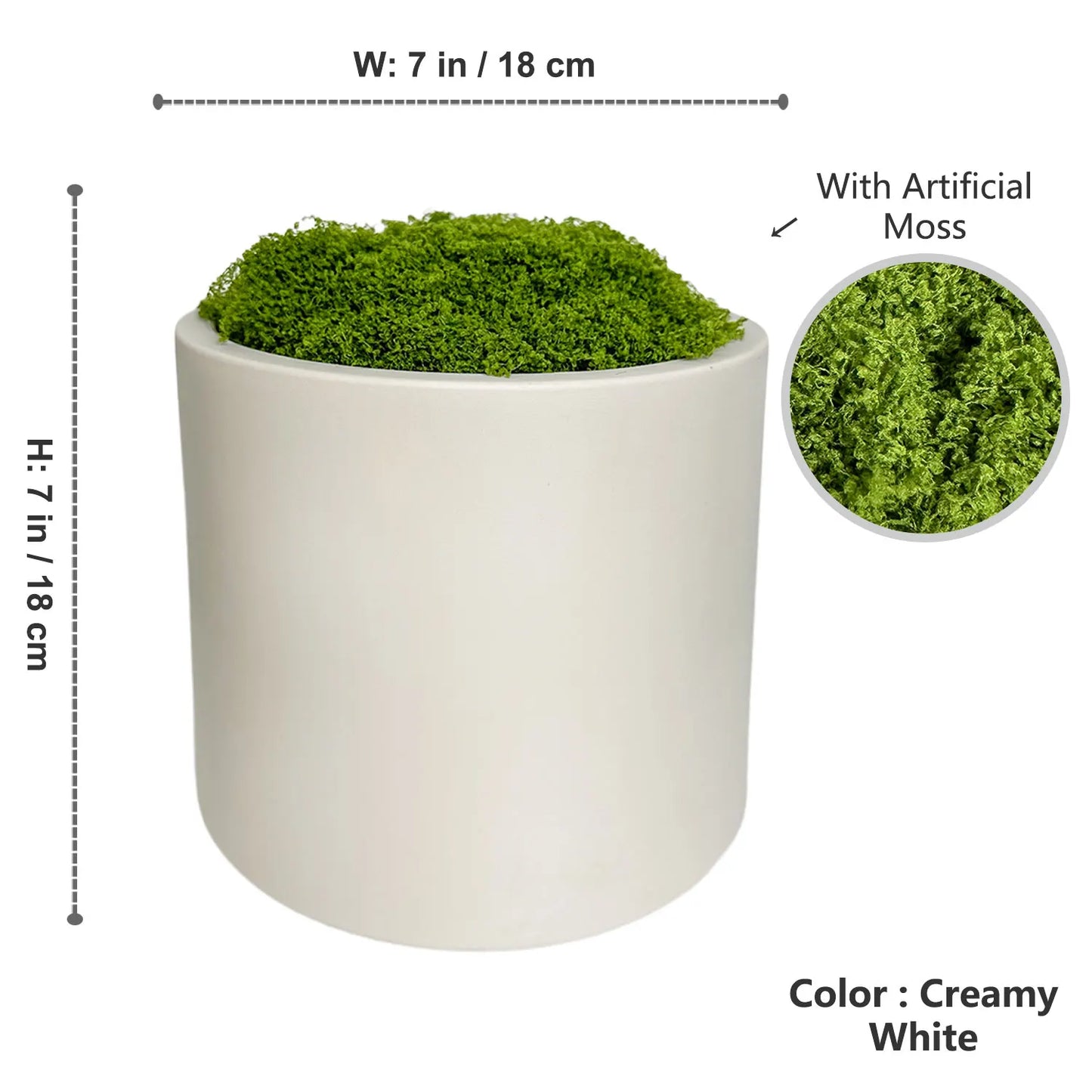 Plant Pot Home for Decoration