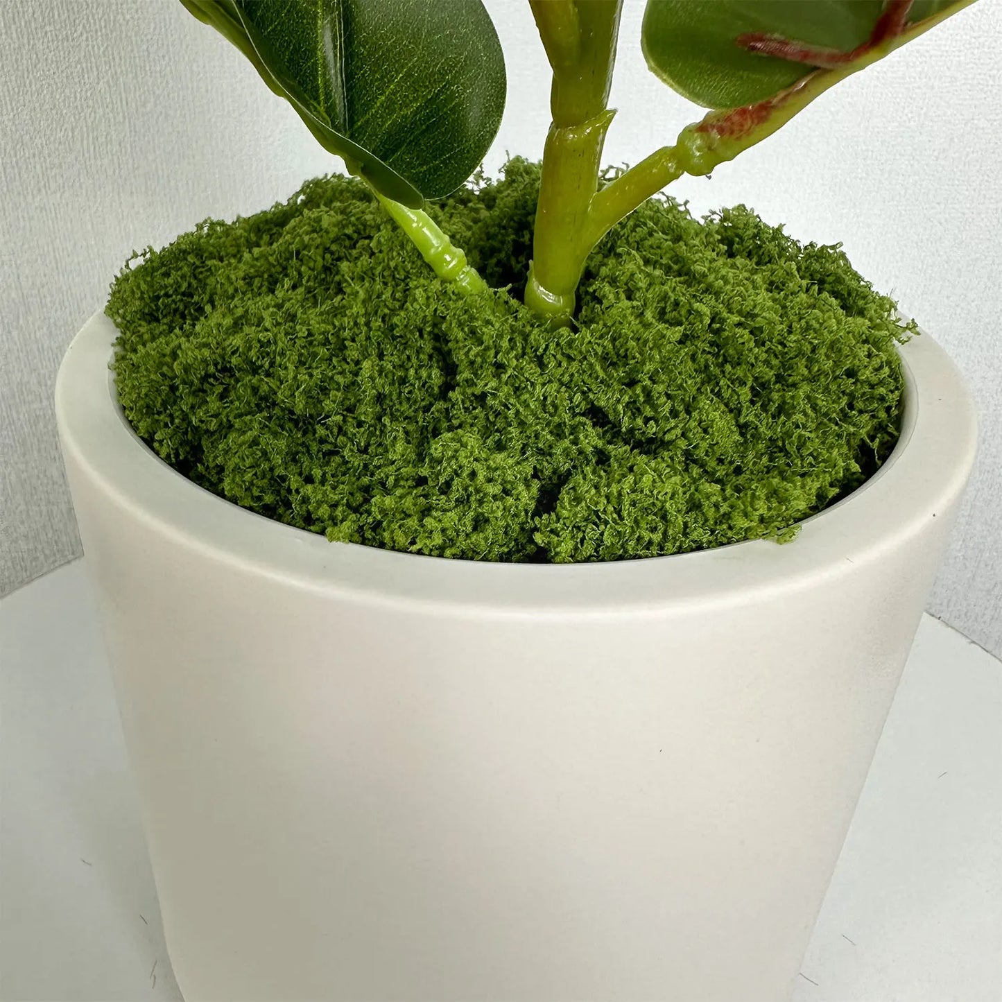 Plant Pot Home for Decoration