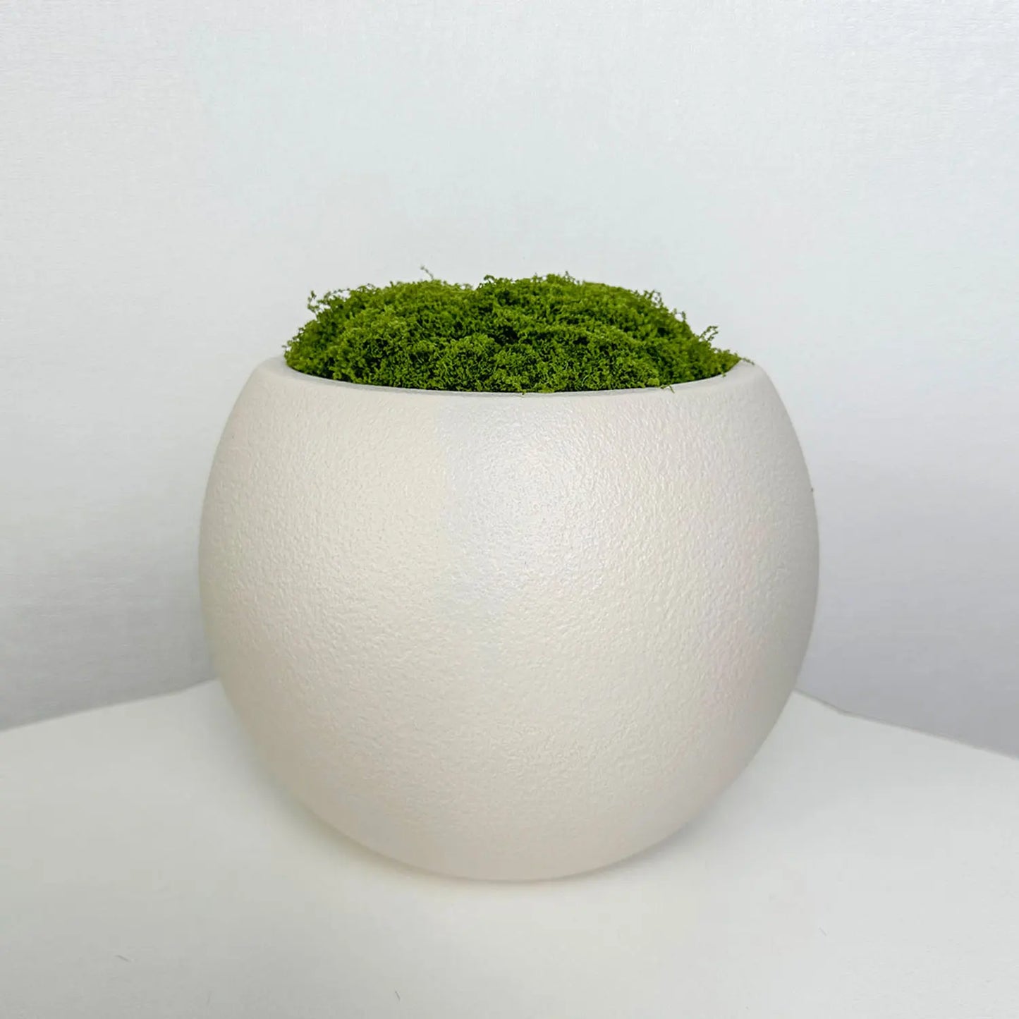 Plant Pot Home for Decoration