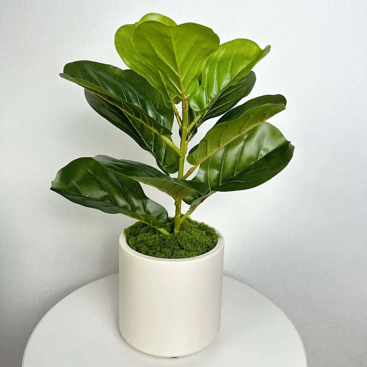 Plant Pot Home for Decoration