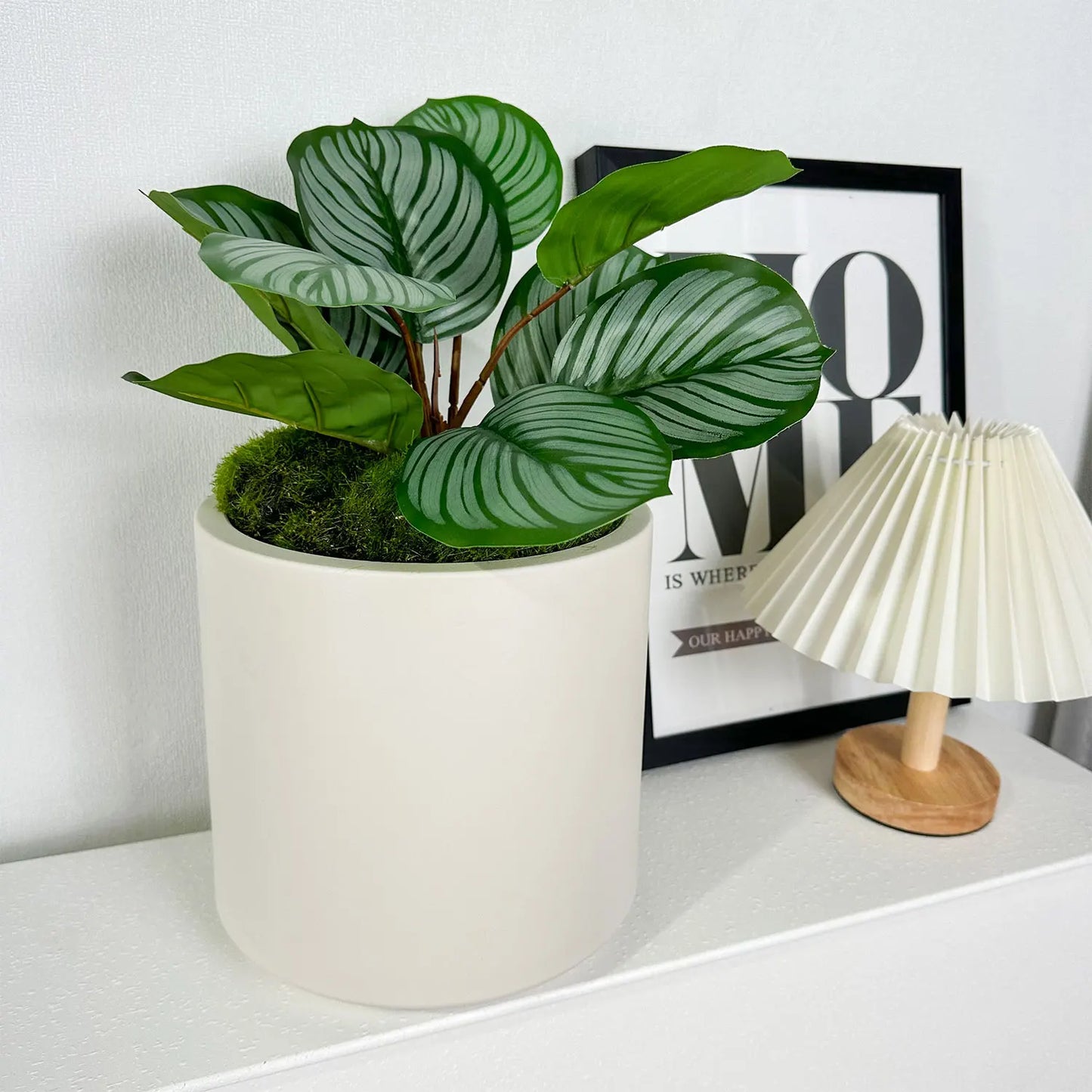 Plant Pot Home for Decoration