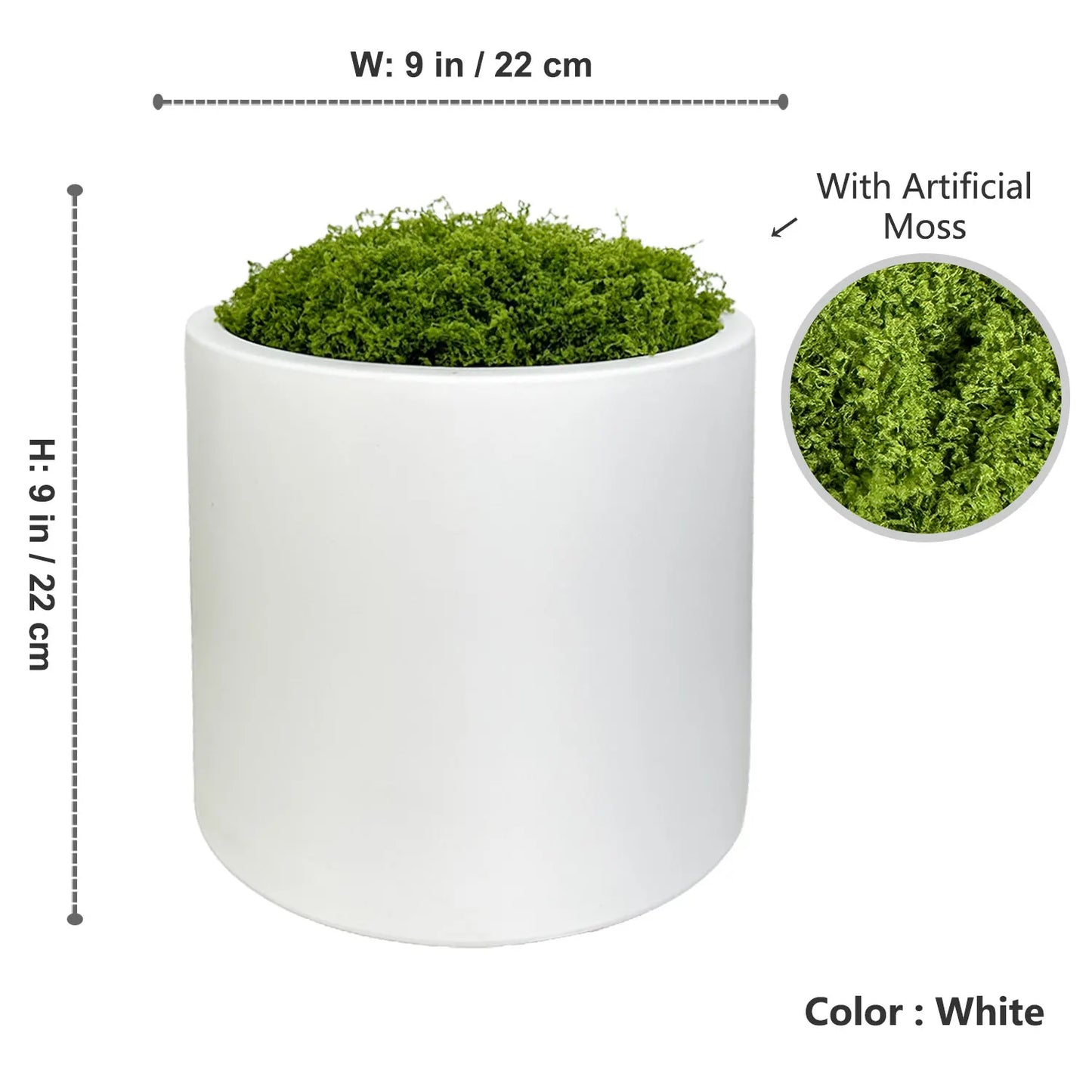 Plant Pot Home for Decoration