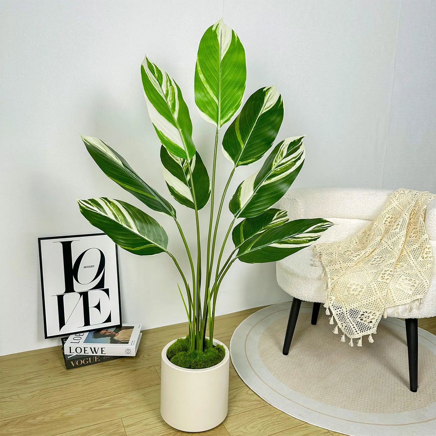 Plant Pot Home for Decoration