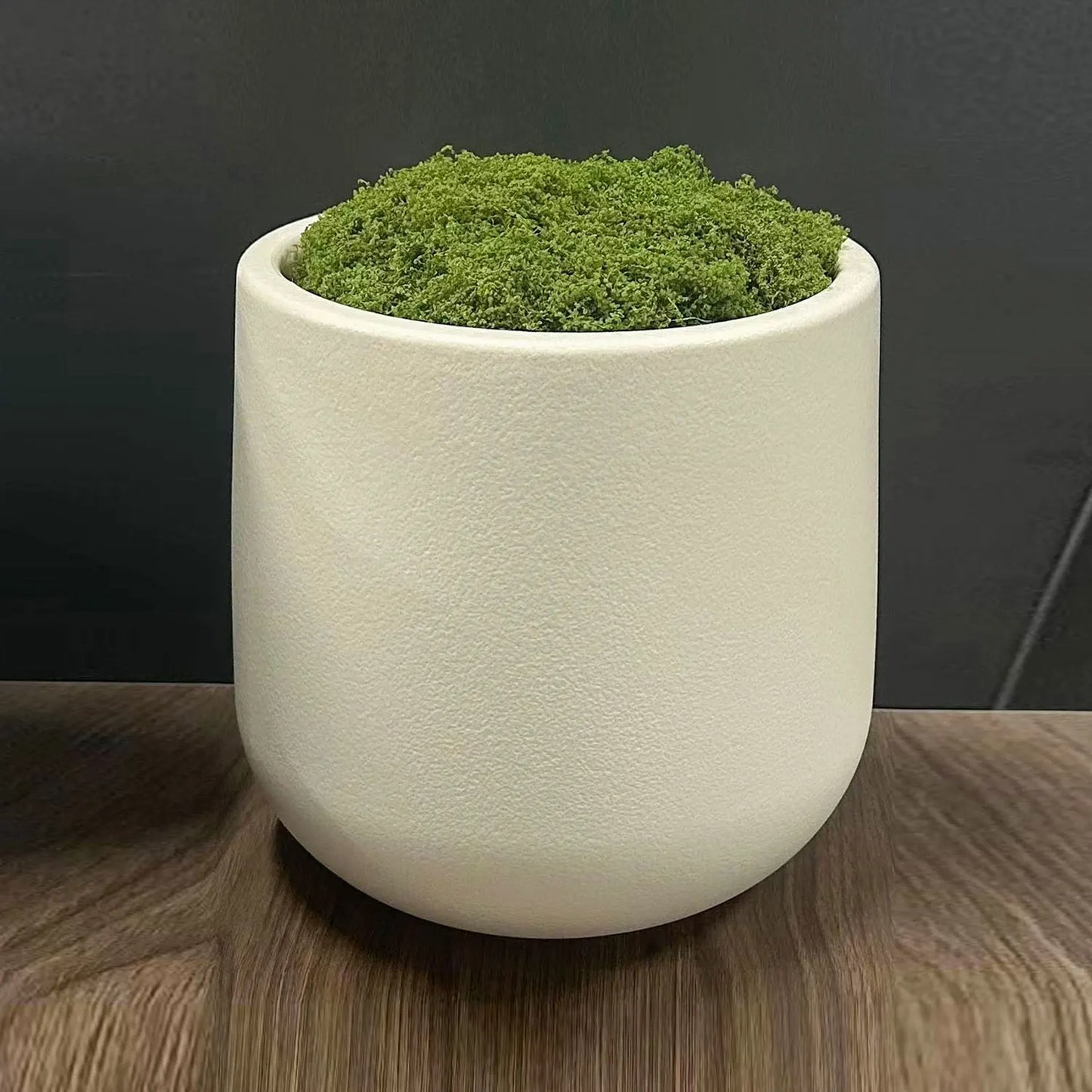 Plant Pot Home for Decoration