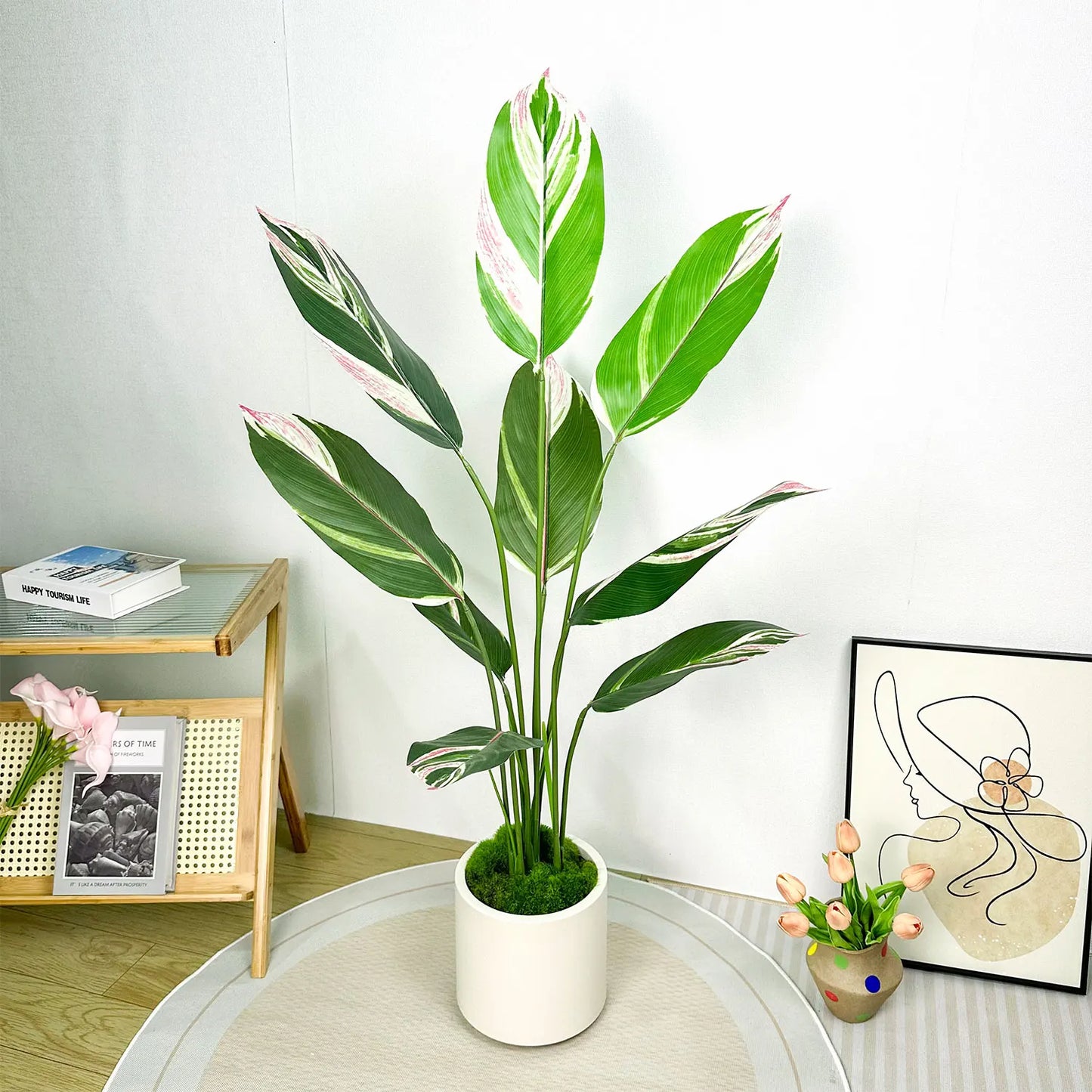 Plant Pot Home for Decoration