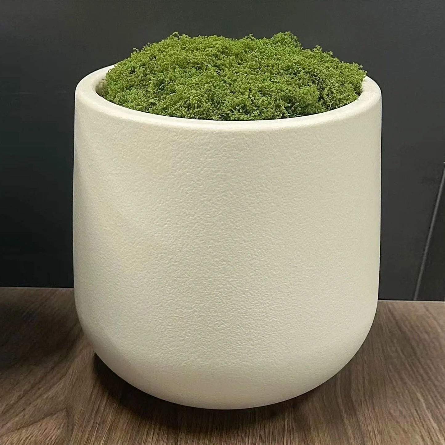 Plant Pot Home for Decoration