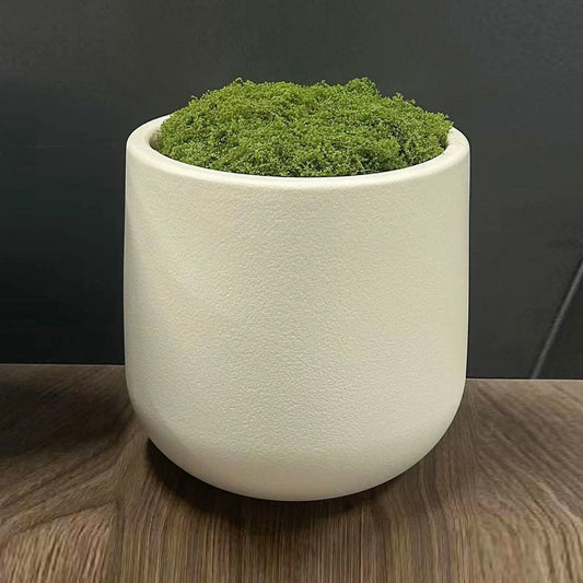 Plant Pot Home for Decoration